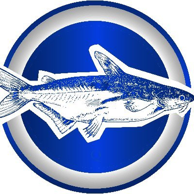 BasaFish