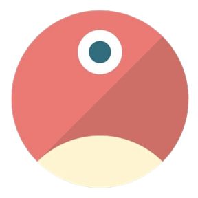 pNetwork
